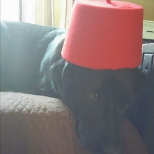 Meet your Posher, Teresa